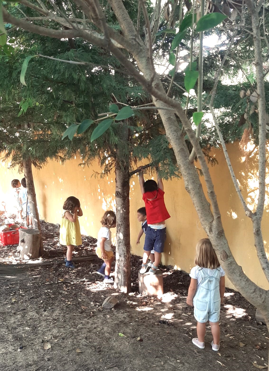 Imagem da galeria das escolas